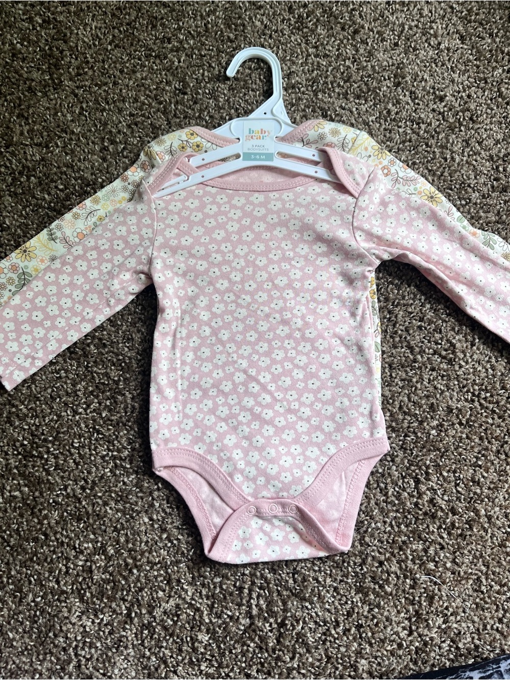 Baby Gear 2pack Floral Long-Sleeve Bodysuits